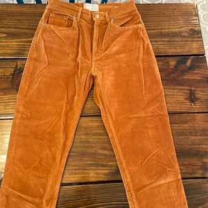 Everlane Cheeky Straight Corduroy Pant, size 27